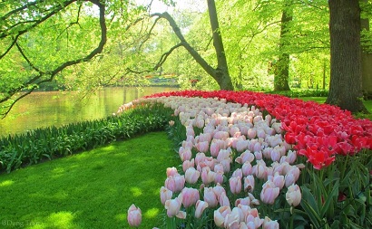 vườn hoa lớn nhất thế giới